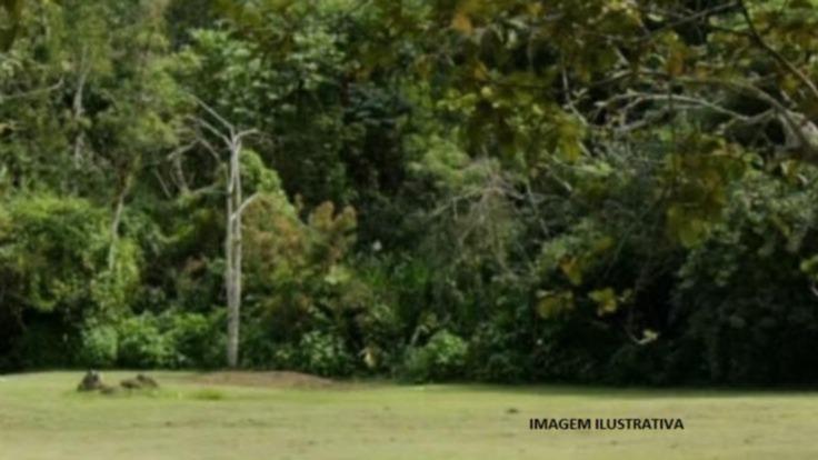 Terreno desmembrado, com área de 300m2, do imóvel Campo Belo, Itatiaia/RJ.